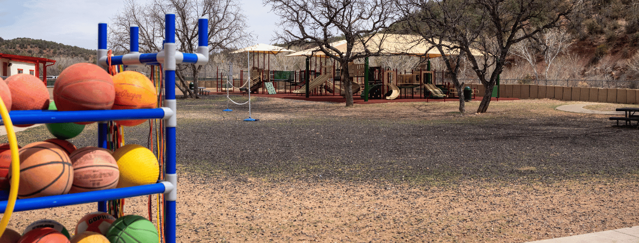  Playground with a colorful rack of basketballs in the foreground, swings and climbing structures in the background, and trees and hills surrounding the play area.